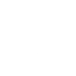 The Mobile Butlers White Logo