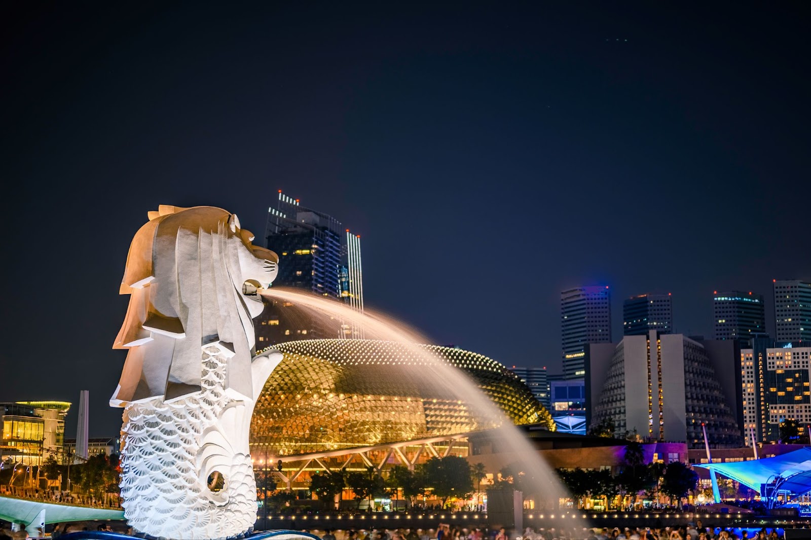 Night view of Singapore's Merlion